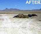 Photo of a Pyramid lake after cleanup.