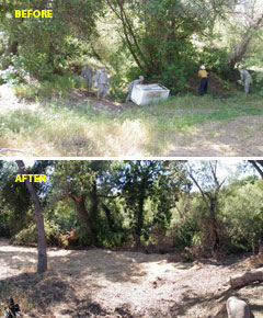 Army Reserve cleanup of Santa Ynez