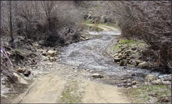 Picture of: Shoshone-Paiute Tribes of Duck Valley (northern Nevada) restored Skull Creek, which had been degraded by vehicle crossing points on four sections of the creek. Before Restoration.