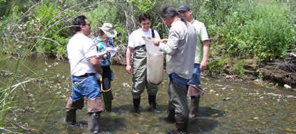 Biological monitoring training at Ackerman Creek at Pinoleville Pomo Nation. Shown are Robert James of Pinoleville Pomo Nation, Debbie McCubbin of Robinson Rancheria of Pomo Indians, Shi Martinez of Coyote Valley Pomo Indians, Dan Mosley of Pyramid Lake Paiute Tribe, and David Edmunds of Pinoleville Pomo Nation