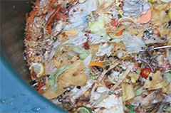 food waste