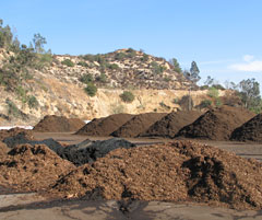 Biosolids: treated sewage sludge