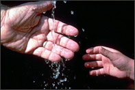 Photo of hands in water