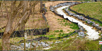Watersheds/Green Infrastructure