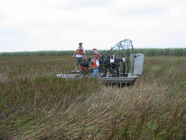 field crew on an airboat in a saltmarsh looking for the field survey site