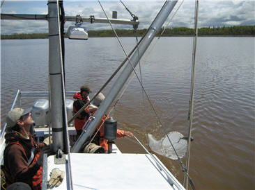 conical zooplankton net being deployed off side of boat.