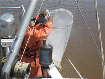sampler removing flow meter from zooplankton net
