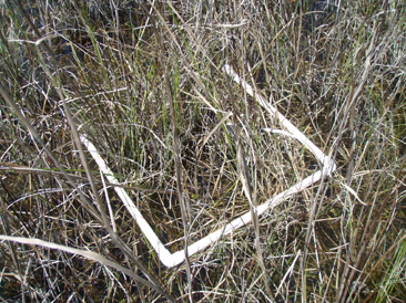 A sample plot from which standing vegetation is clipped to extimate above-ground standing stock biomass