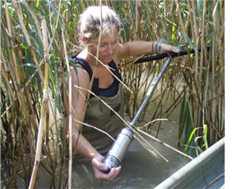 photo of researcher collecting a soil core using a soil probe frrom an inundated freshwater wetland.