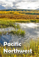 Wetlands in the Pacific Northwest