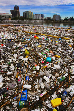 la harbor trash