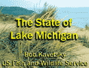 The State of Lake Michigan
