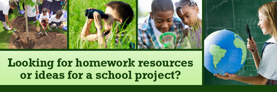 Looking for homework resources of ideas for a school project?