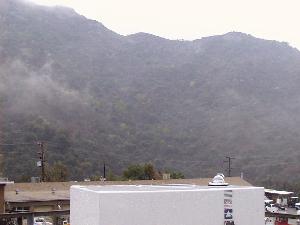 Photo of brewer on rooftop