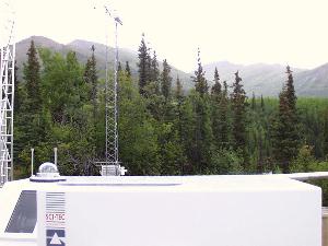 Photo of brewer on rooftop