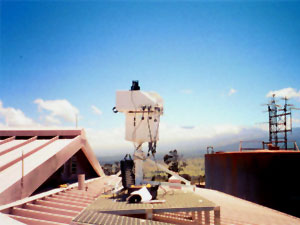Photo of brewer on rooftop