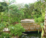 Photo of Jungle River at Parrot Jungle Island