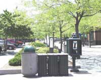 photo of tree-lined street with recycling bins
