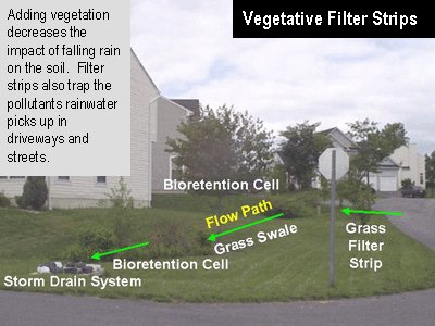 Vegetative filter strips