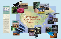 National Estuary Program Poster